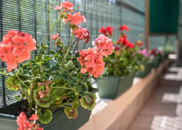 Appartement Garden House Vale Rome